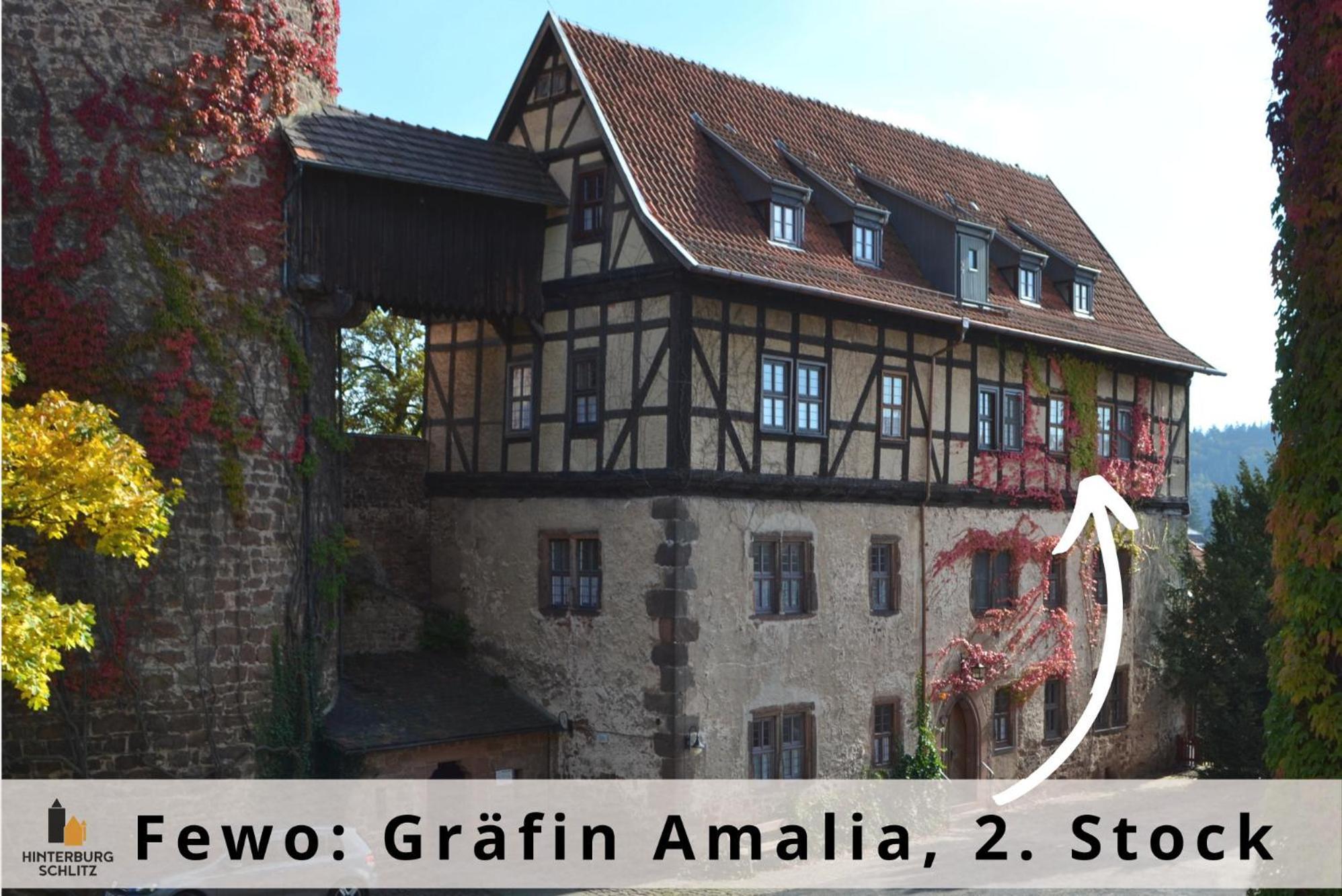 Graefin Amalia - Elegantes Apartment In Der Historischen Hinterburg In Schlitz, 2 Schlafzimmer, Mit Garten, Nahe Fulda Und Bad Hersfeld Екстер'єр фото